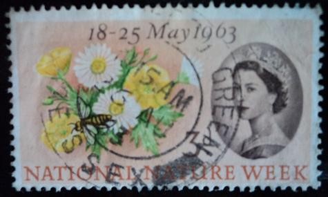 National Nature Week 1963