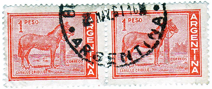 Caballo criollo