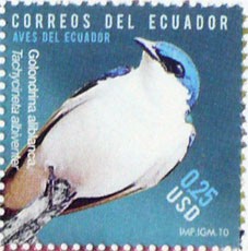Aves del Ecuador