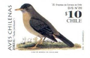 Aves Chilenas 