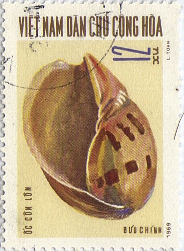 Caracol