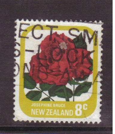 serie- Rosas