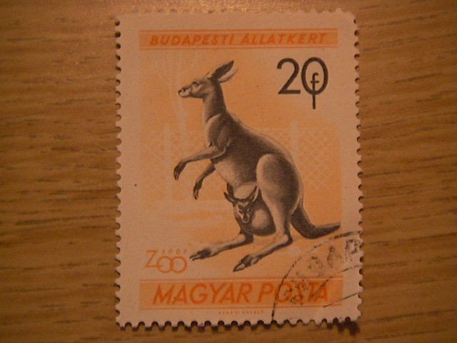 budapesti allatkert