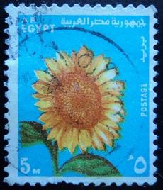 Girasol