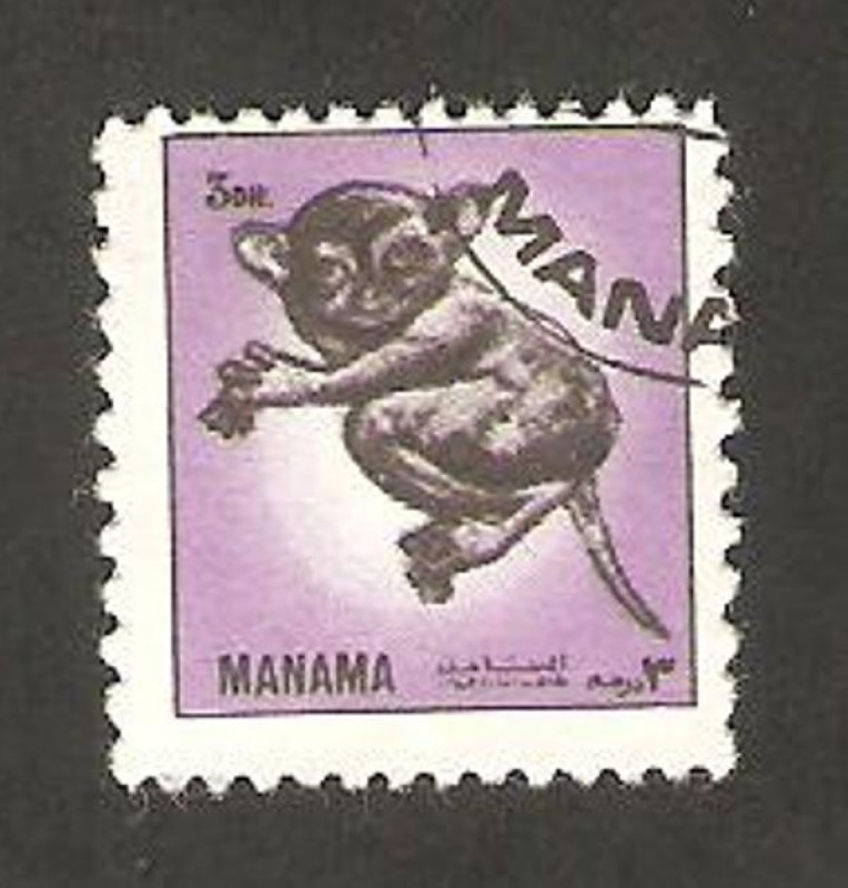 Manama - fauna