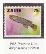 Peces de Africa