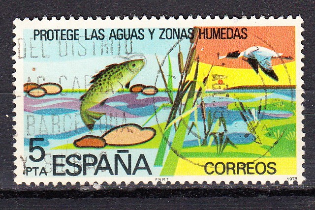 E2470 AGUAS CONTINENTALES (184)