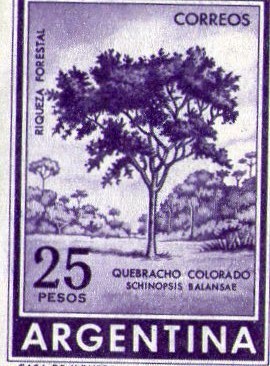 quebracho colorado