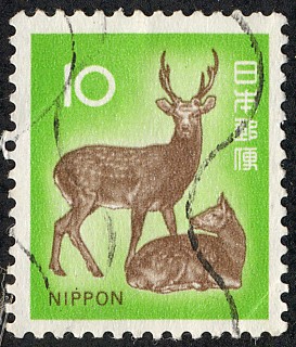 Fauna