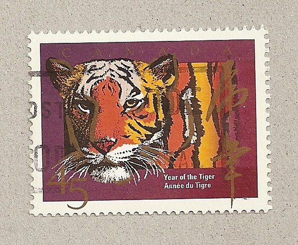 El año del tigre