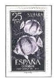 SAHARA EDIFIL 209 (1 SELLOS)