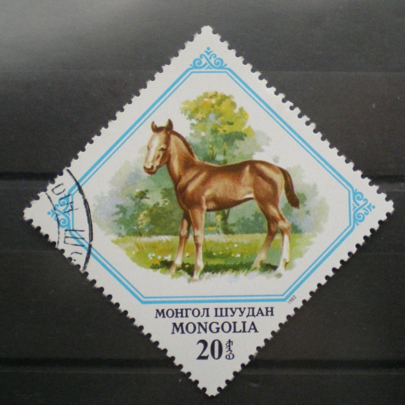 caballo