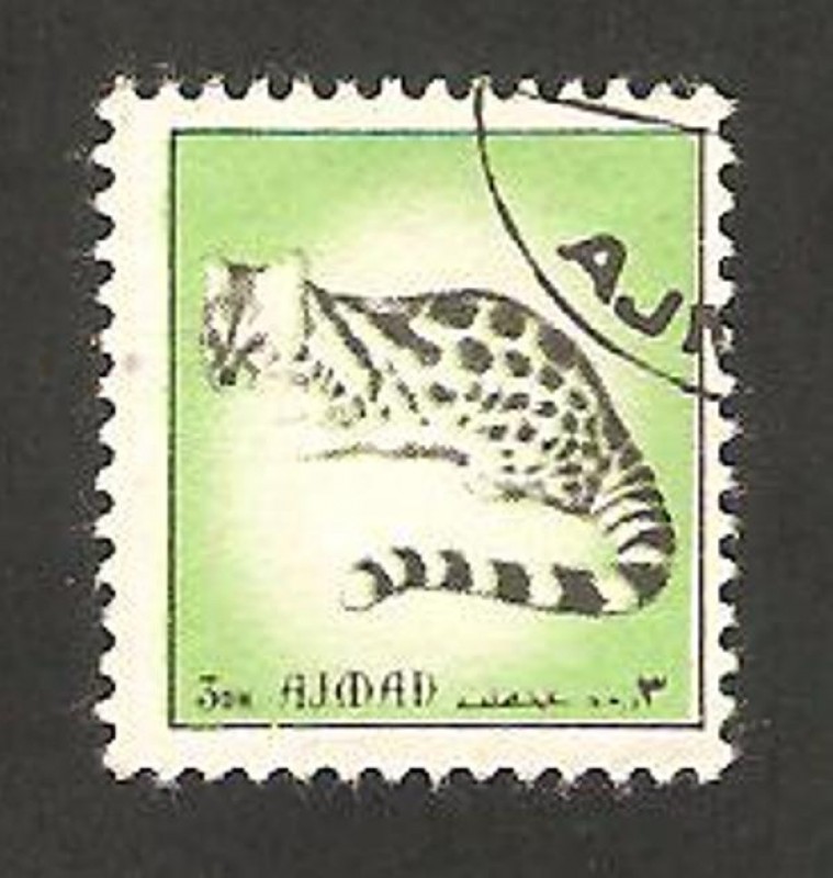ajman - fauna
