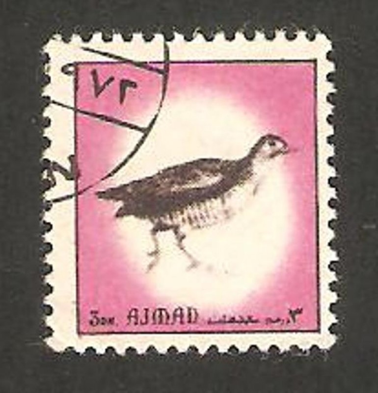 Ajman - fauna