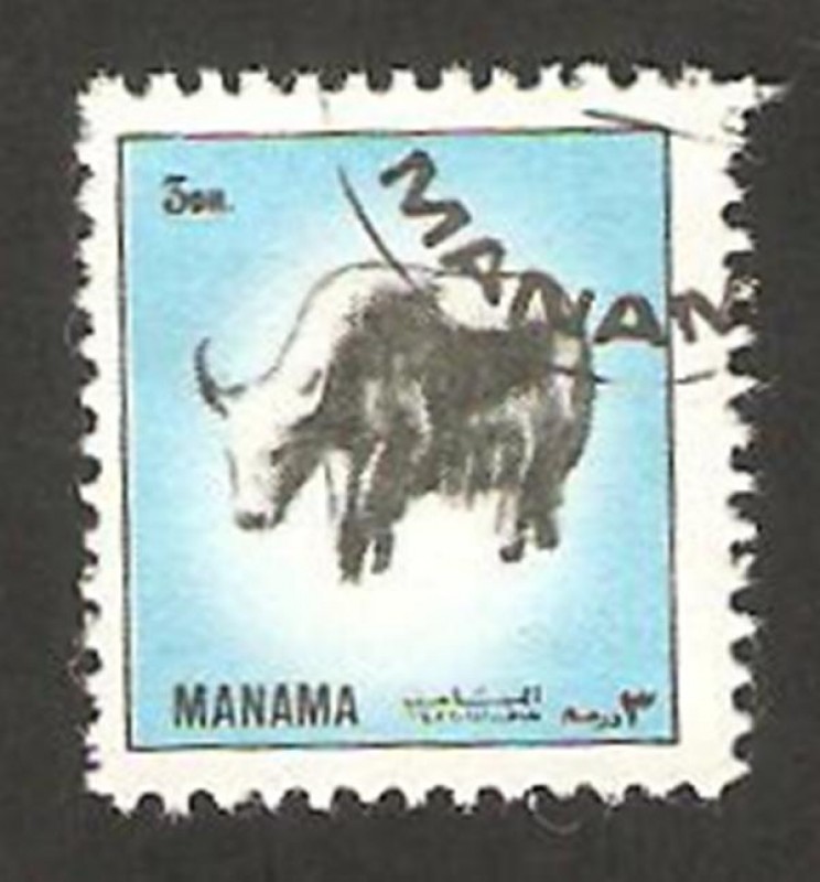 Manama - fauna