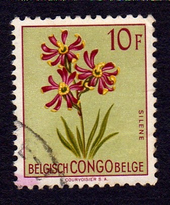 SILENE