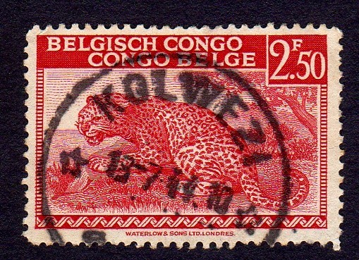 LEOPARDO