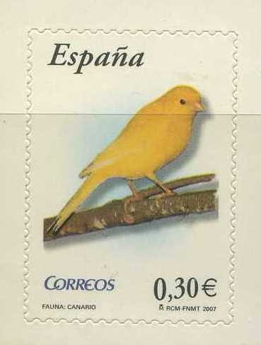 E4301 - Flora y Fauna