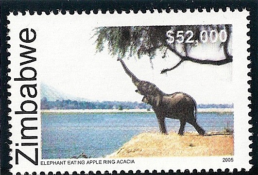 Parque Nacional de Mana Pools