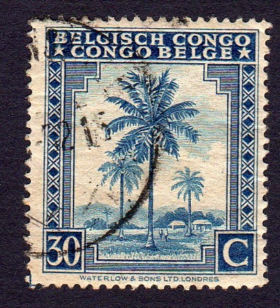 PALMERA