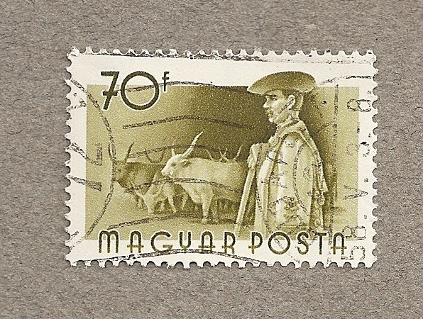 Vaquero