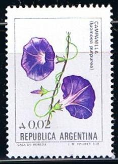Campanilla