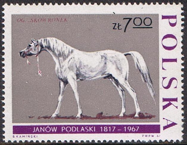 150º ANIV. DE LOS SEMENTALES DE JANOW POALASKI
