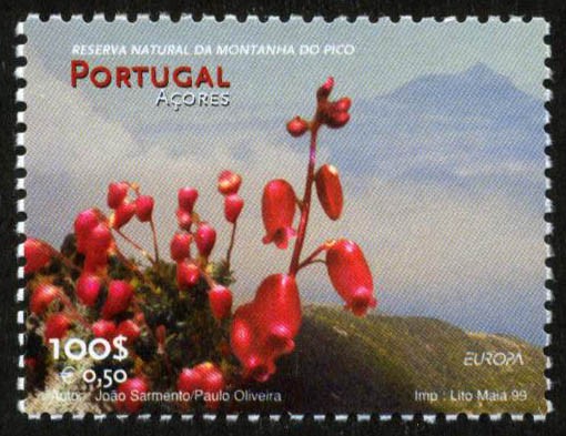 PORTUGAL - Paisaje vitícola de la isla del Pico, en las Azores