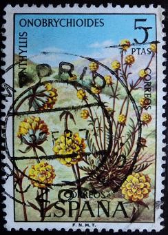 Anthyllis onobrychioides