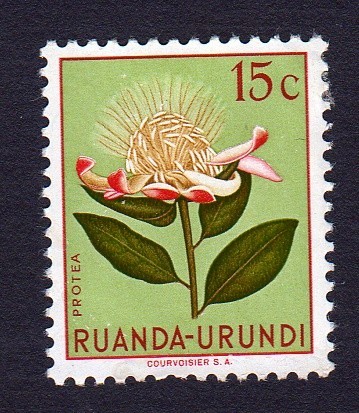PROTEA