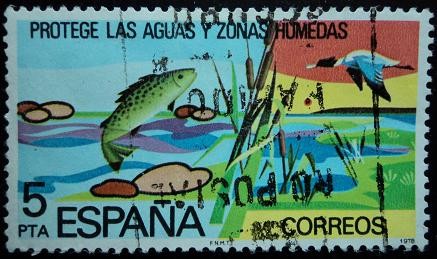 Protege las aguas y las zonas húmedas