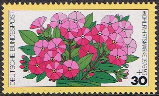 FLORES DE JARDIN