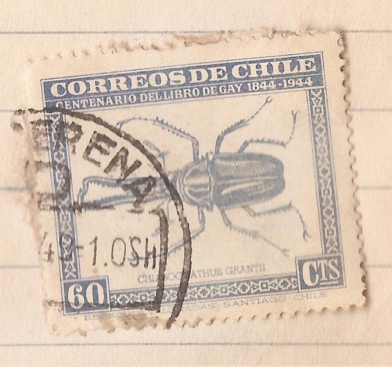 Centenario del libro De Gay 1844-1944