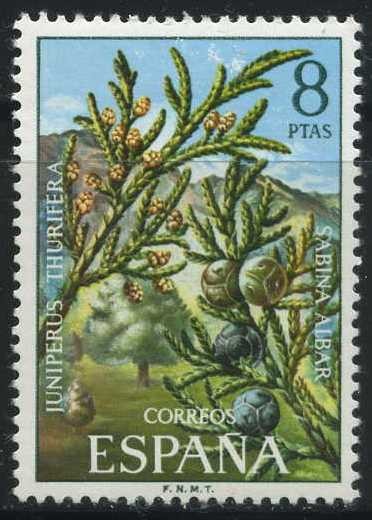 E2089 - Flora