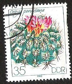 DDR - FLORA