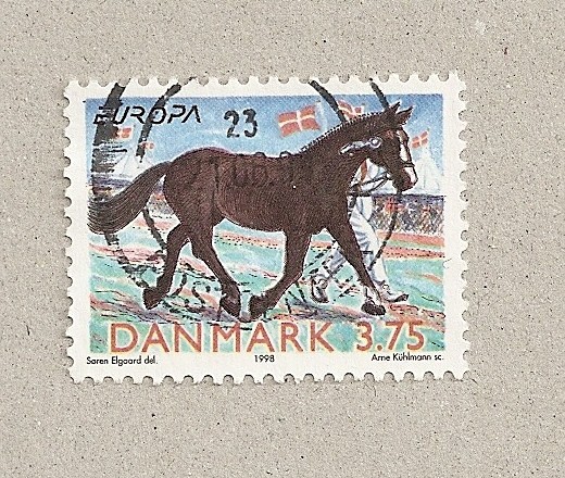 Caballo de la exposición agropecuaria