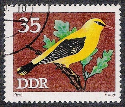 AVES: 2.152.106,01-Oriolus oriolus -Phil.157952-Y&T.1536-Mch.1839-Sc.1458