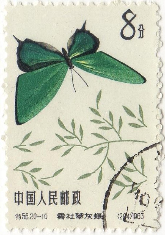 Mariposa