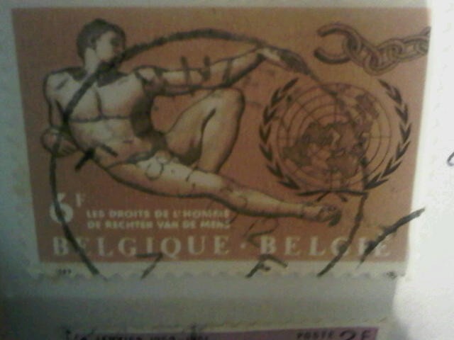 LES BROIT DEL HOMME BELGIQUE 