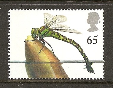 Libelula