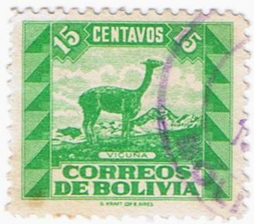 VICUÑA