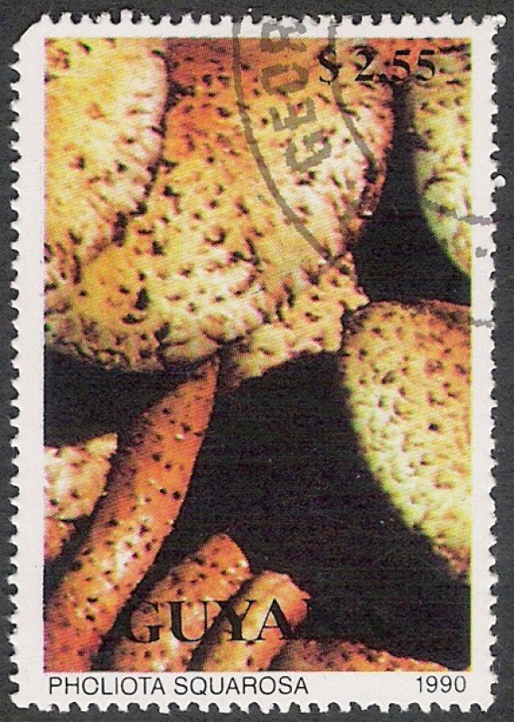 SETAS-HONGOS: 1.162.024,01-Pholiota squarrosa -Phil.54952-Dm.990.244-Y&T.2358-Mch.3290-Sc.2351