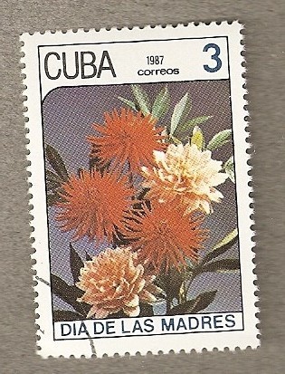 Flores, Dia de las Madres