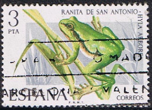 FAUNA HISPÁNICA. RANITA DE SAN ANTONIO