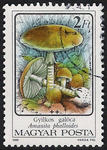 SETAS-HONGOS: 1.164.011,02-Amanita phalloides -Phil.47542-Dm.986.72-Y&T.3081-Mch.3871-Sc.3046