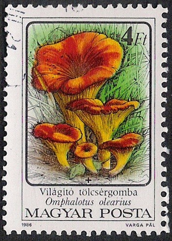 SETAS-HONGOS: 1.164.014,02-Omphalotus olearius -Phil.47544-Dm.986.75-Y&T.3084-Mch.3874-Sc.3049