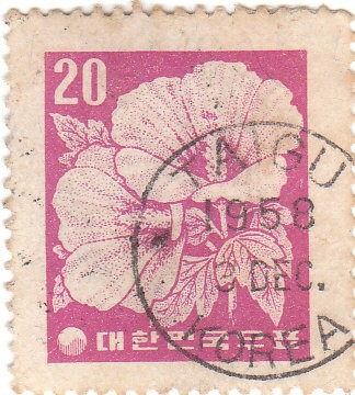 FLORES