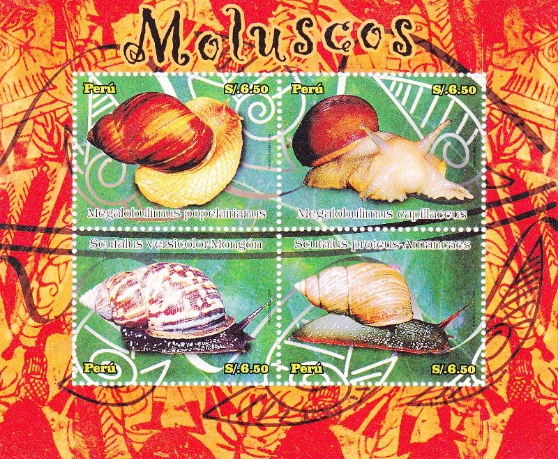 hoja moluscos