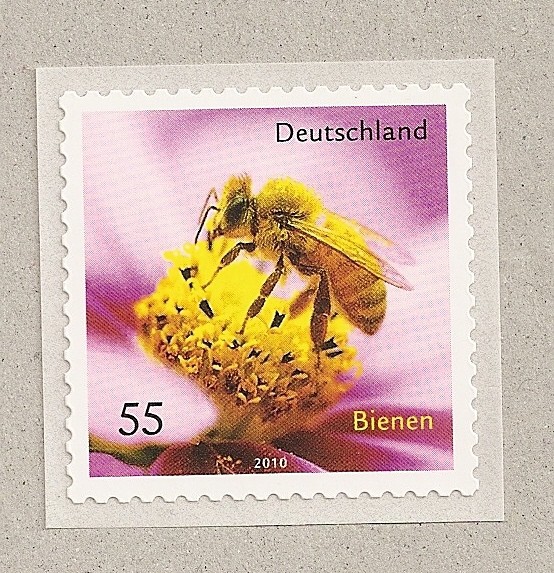 Abeja, autoadhesivo
