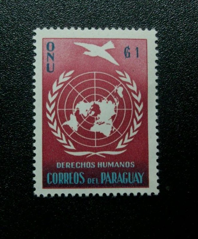 O.N.U Derechos Humanos